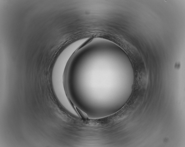 X0000096170601200802011320