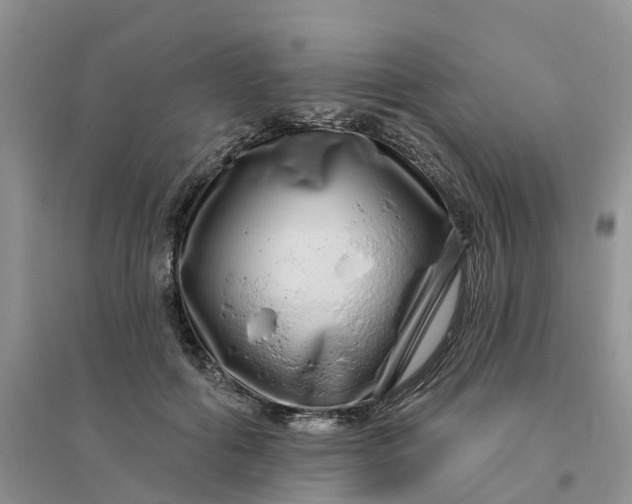 X0000096170602200802011320