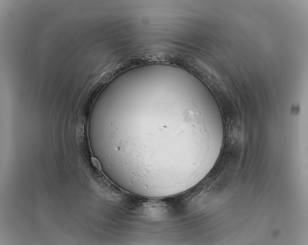 X0000096170603200802011320