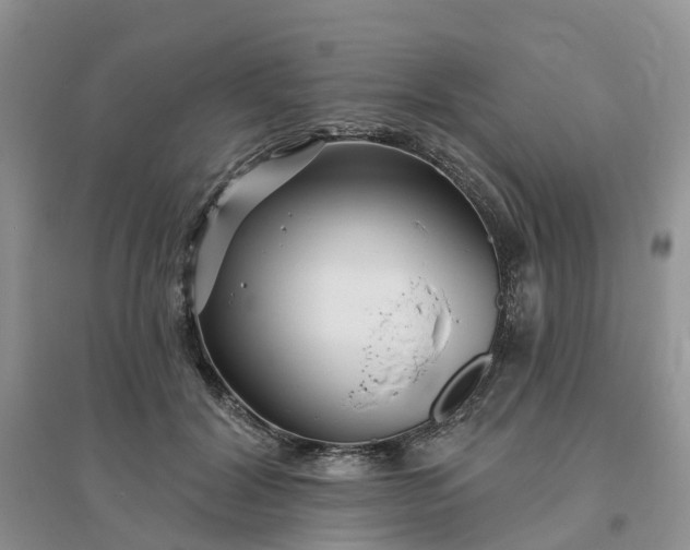 X0000096170604200802011320