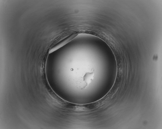 X0000096170605200802011320