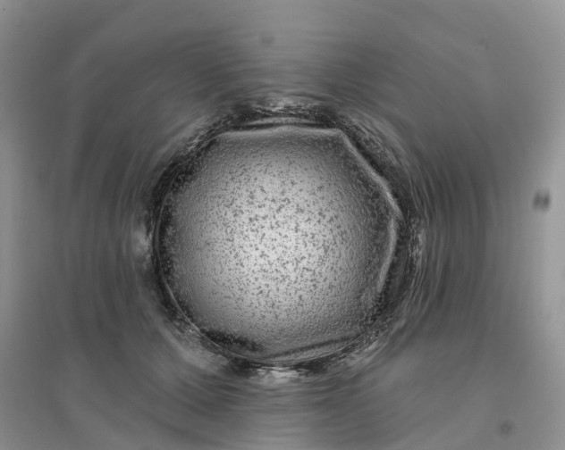 X0000096170607200802011320