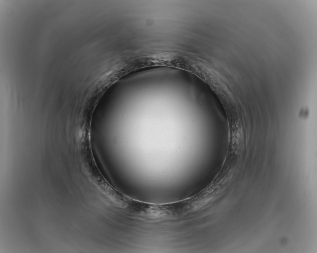 X0000096170608200802011320