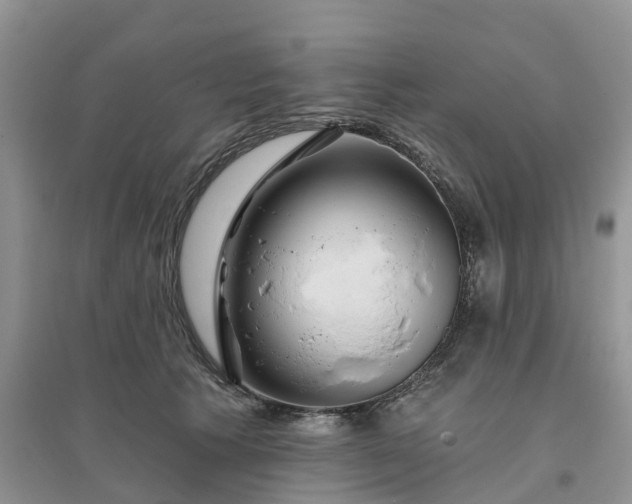 X0000096170609200802011320