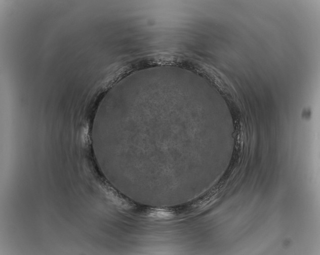 X0000096170610200802011320