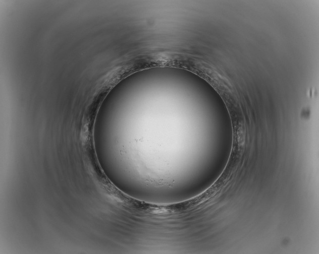 X0000096170611200802011320