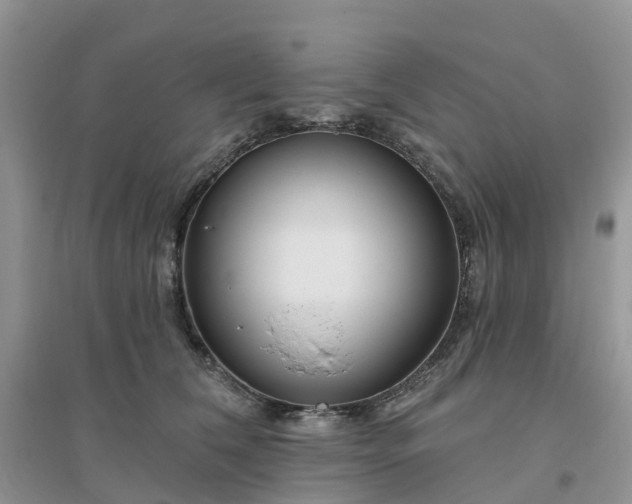 X0000096170612200802011320