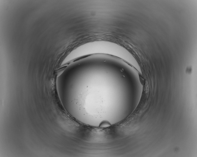 X0000096170613200802011320