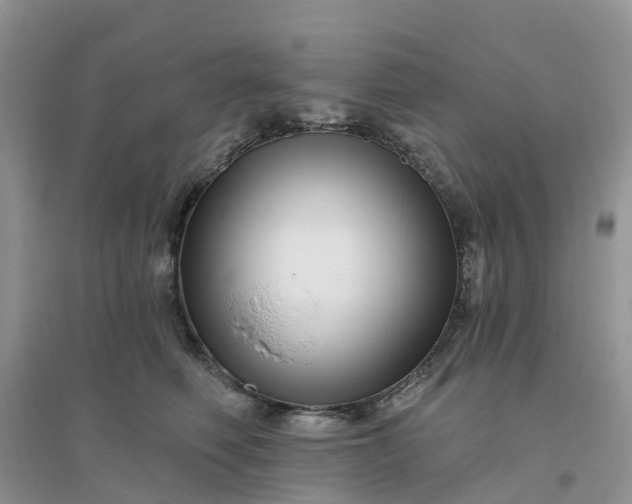 X0000096170614200802011320