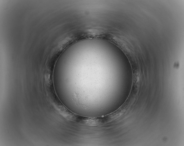 X0000096170615200802011320