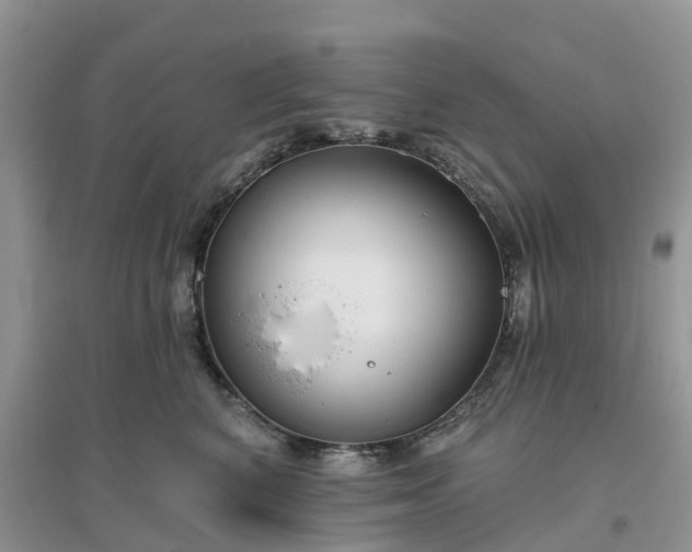 X0000096170616200802011320