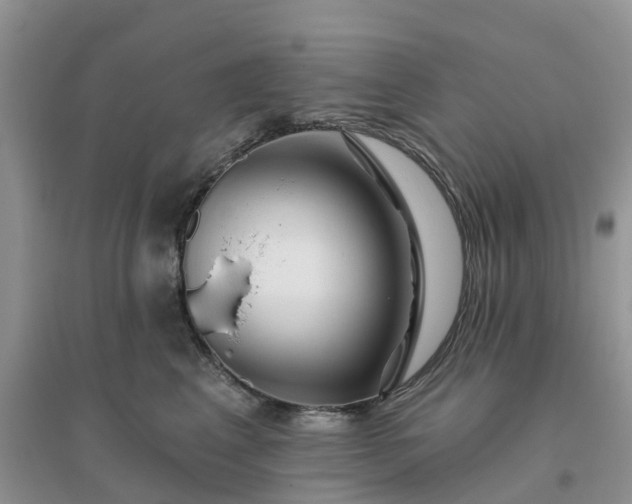 X0000096170617200802011320