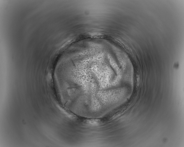 X0000096170618200802011320