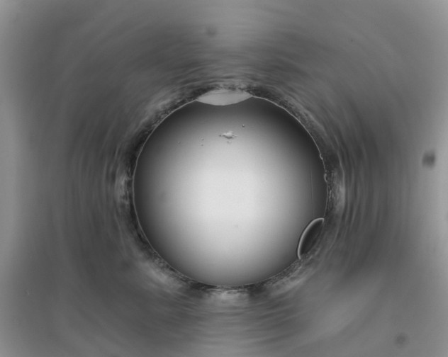 X0000096170619200802011320