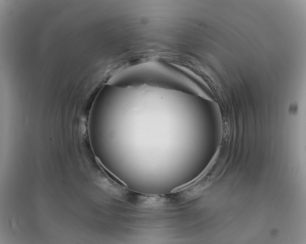 X0000096170621200802011320