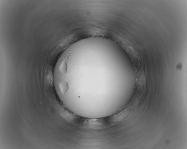 X0000096170622200802011320