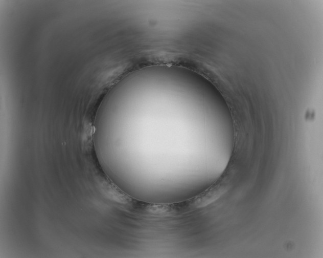 X0000096170624200802011320