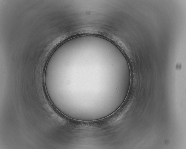 X0000096170625200802011319