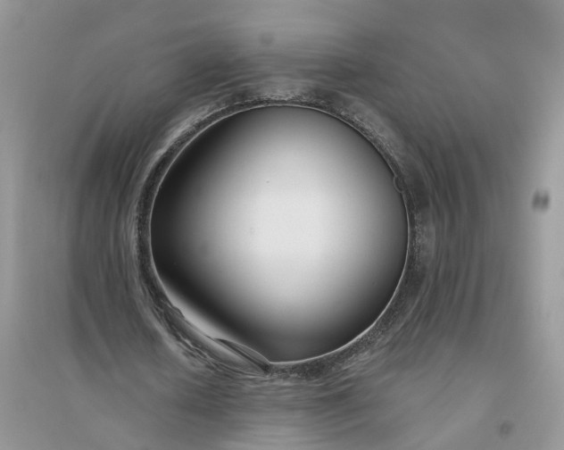 X0000096170626200802011319