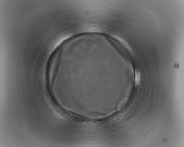 X0000096170627200802011319