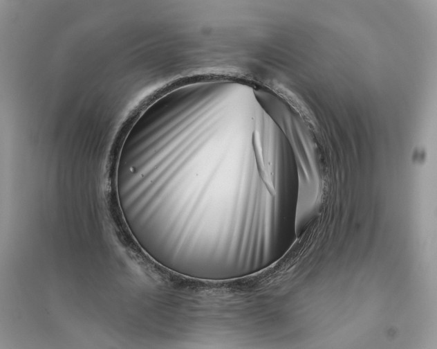 X0000096170628200802011319