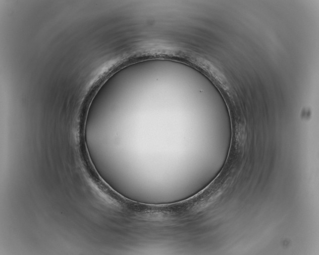 X0000096170629200802011319