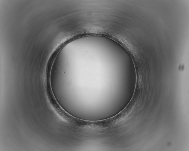 X0000096170630200802011319