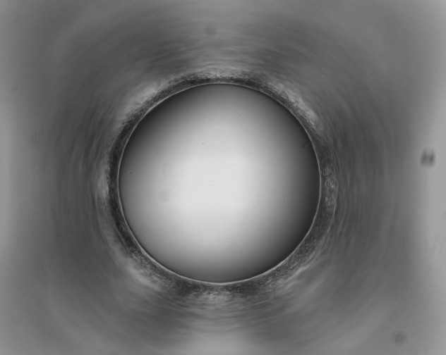 X0000096170631200802011319