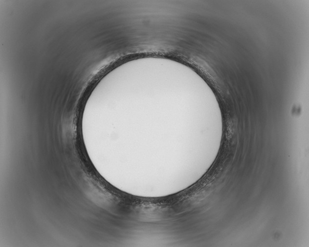 X0000096170632200802011319