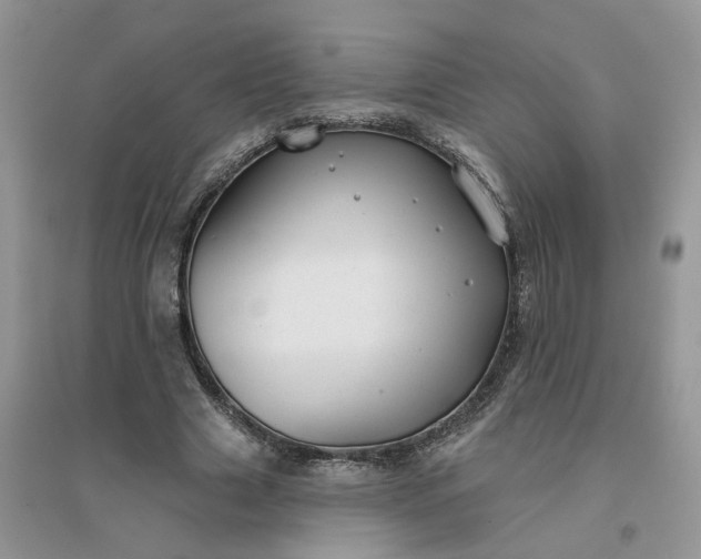 X0000096170633200802011319