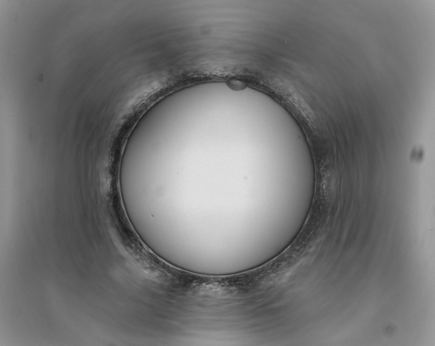 X0000096170635200802011319