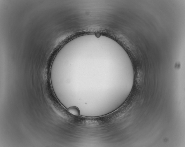 X0000096170636200802011319