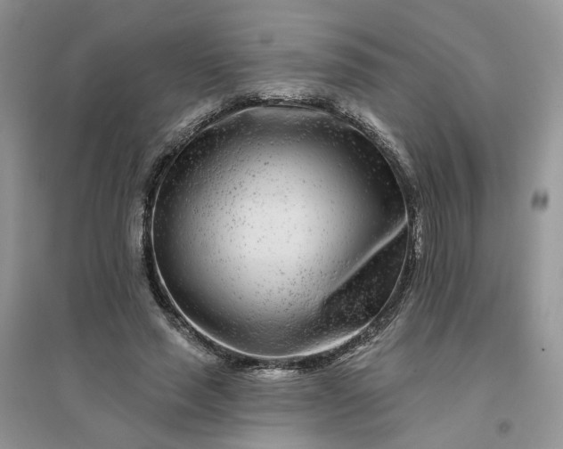 X0000096170637200802011319