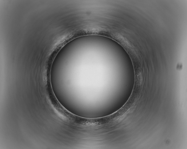 X0000096170638200802011319