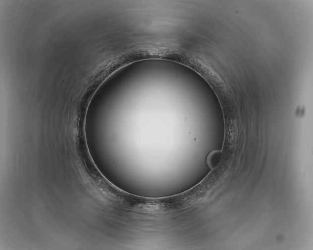 X0000096170639200802011319