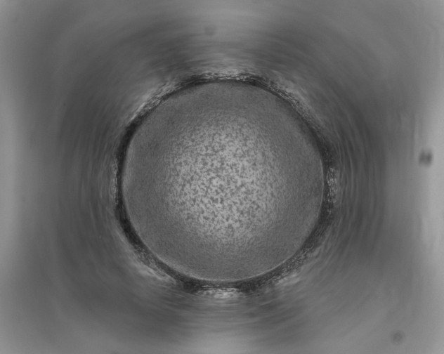 X0000096170642200802011319