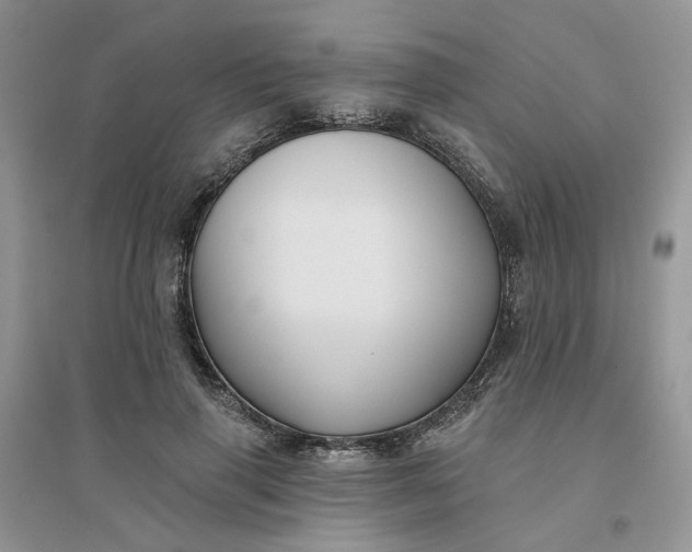 X0000096170645200802011319