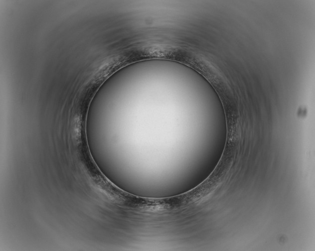 X0000096170646200802011319