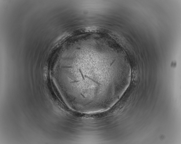 X0000096170648200802011319