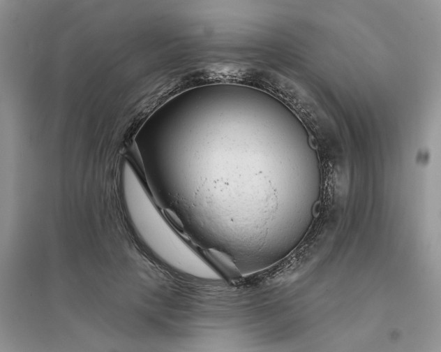 X0000096170649200802011319