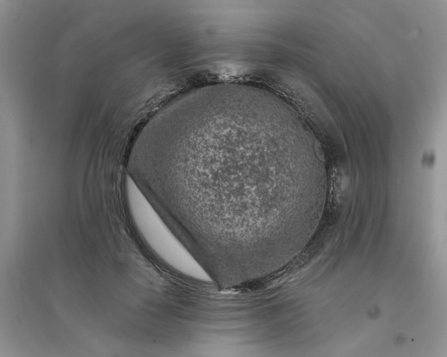 X0000096170650200802011319