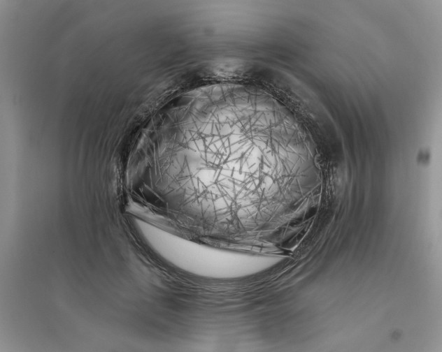 X0000096170651200802011319