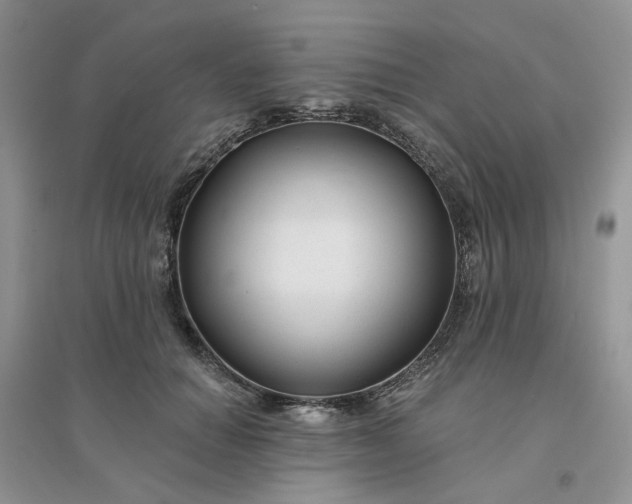 X0000096170654200802011319