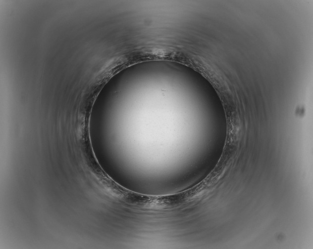 X0000096170656200802011319