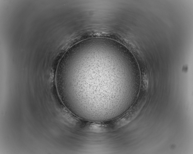 X0000096170657200802011319