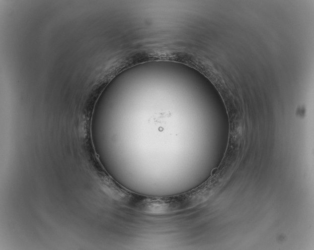 X0000096170658200802011319