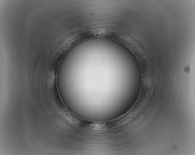 X0000096170660200802011319