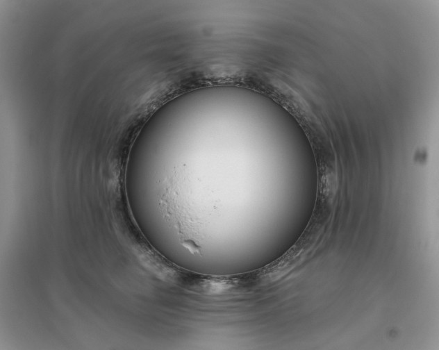 X0000096170662200802011319