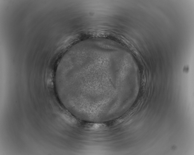 X0000096170663200802011319