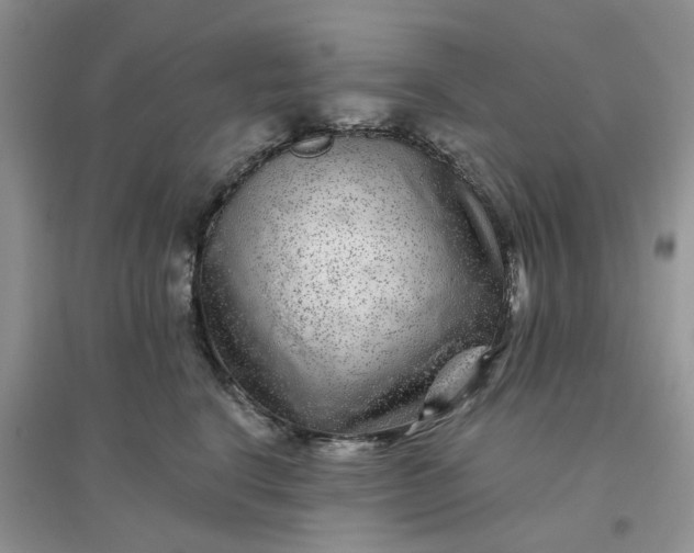 X0000096170664200802011320